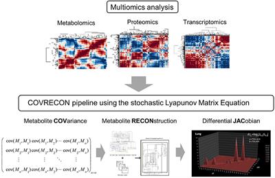 Toward a Unification of System-Theoretical Principles in Biology and Ecology—The Stochastic Lyapunov Matrix Equation and Its Inverse Application
